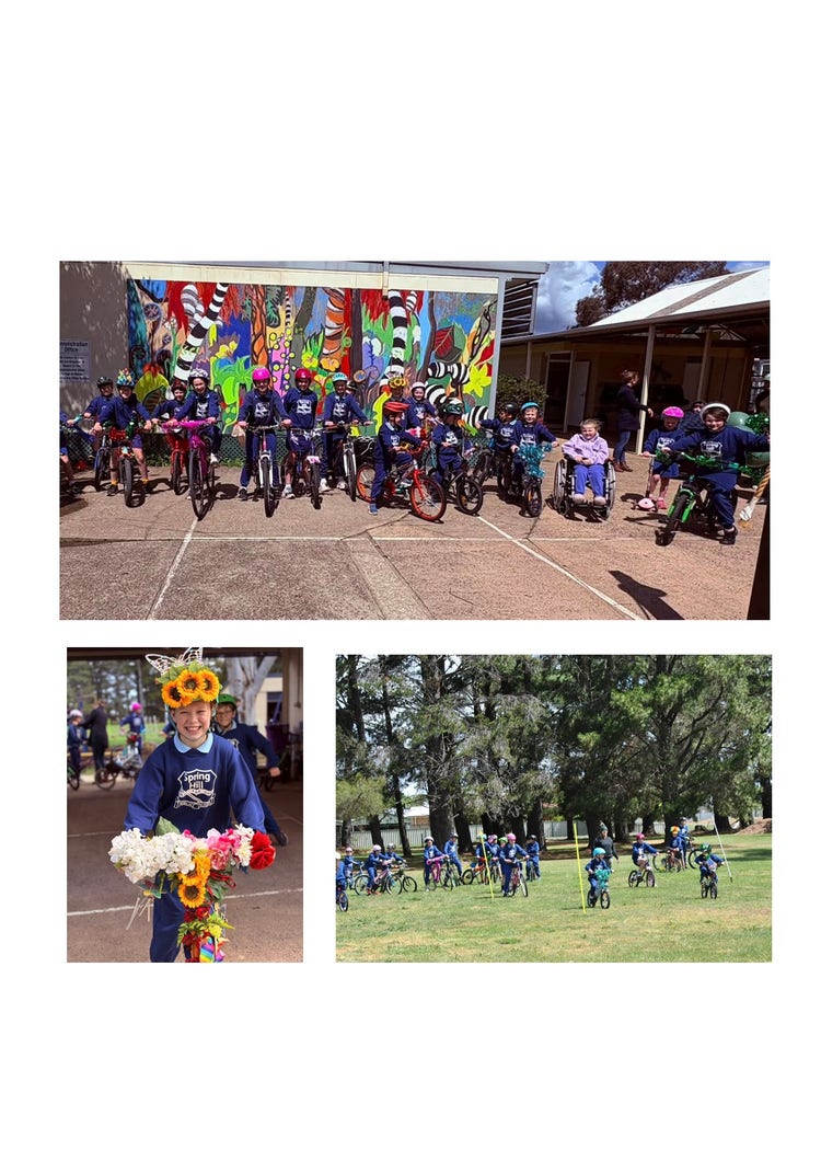 Three photos of children riding bikes. The first one is about 12 children lined up on their bikes standing in front of the admin building wall. The wall has a bright mural on it. One of the children in the photo is in a wheelchair and another student is on a scooter. The rest are on their decorated bikes and they are all wearing helmets ready to ride. The second photo is of a senior female student sitting on her bike ready to ride. Her bike and helmet are both decorated with brightly coloured flowers, with the main flower in her display being the sunflower. There are children in the background also in their bikes. The third image is of students riding their bikes around the oval. The oval has posts placed in it as an obstacle course that the students are riding around. It is a bright sunny day.