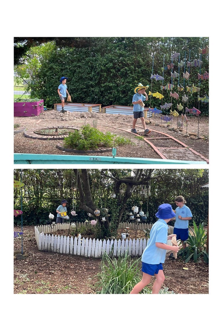 These two images show our sensory garden. The first one is 2 boys walking through the snake path with fish hanging from wire. There are garden beds all around the students. The second image shows 3 children playing around the fairy garden tree with teapots all hanging from the tree on string. There is a mini white picket fence around the large tree also.