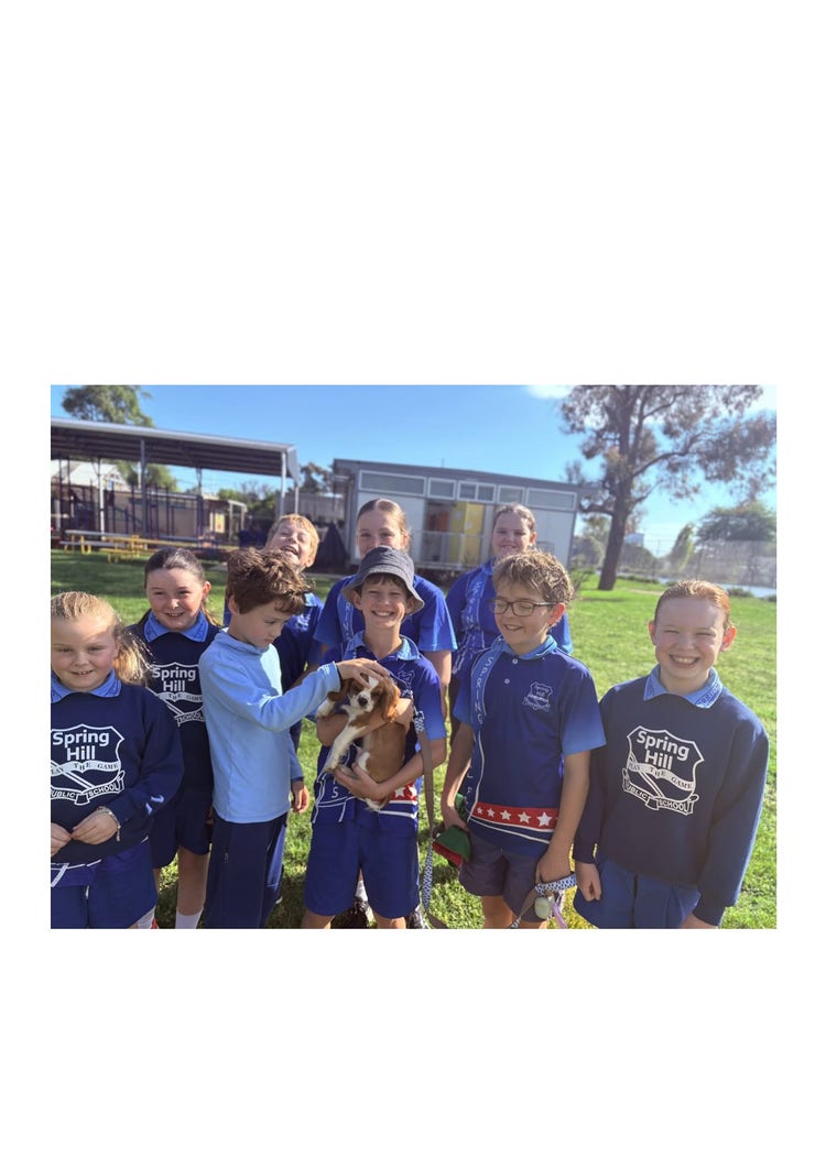 Nine students standing in the playground holding our school mascot, a Cavalier King Charles Spaniel dog. The dog is light brown and white and one of the students is patting it. The dog's name is Gus.